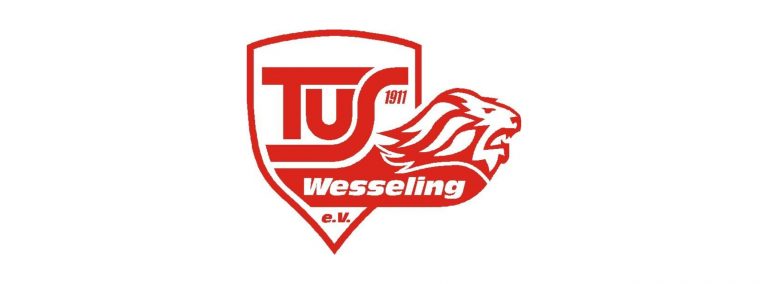 Vereine Banner Master 1 768x284